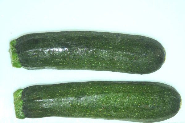 Zucchini